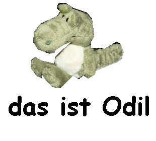 Odil